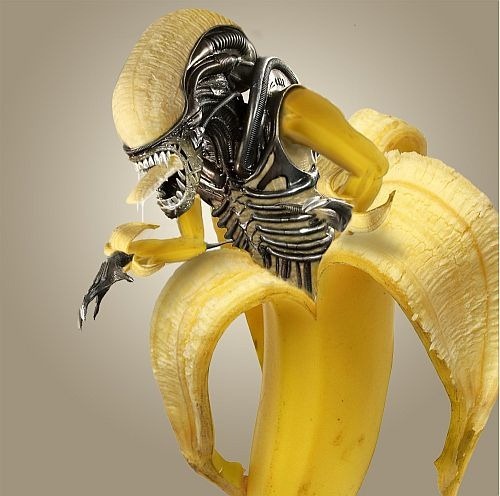 Banana Alien 62 ufologia fortianismo destaques 