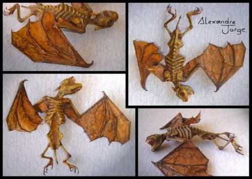 Daptocarnitia nocturnus