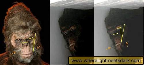Georgia_bigfoot_analysis_321