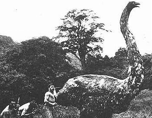 moa0124