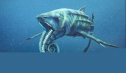 helicoprion23d