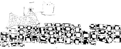 catalhoyuk_map_1964