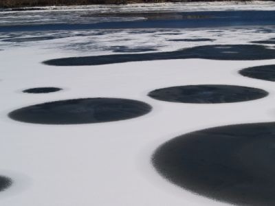 iceholeshj