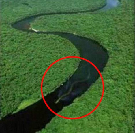 2009-Nessie-Borneo001
