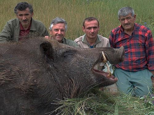 hogzilla03