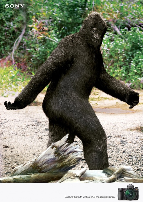 sonyBigfoot