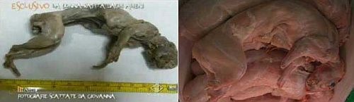 comparison2