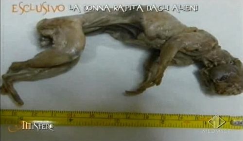 giovanna_alien