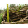 DSCN0023.JPG