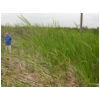 DSCN0035.JPG