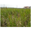 DSCN0045.JPG