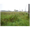 DSC00002.JPG